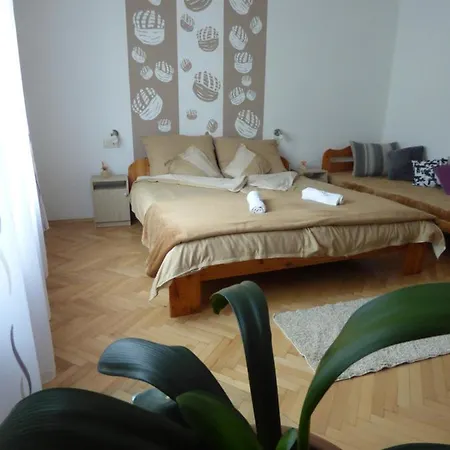 Pogacsas Daire Tokaj