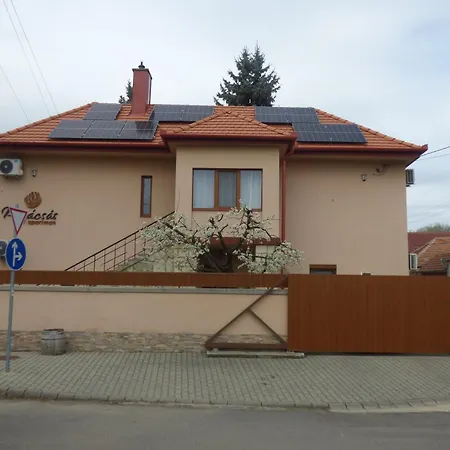 Pogacsas Daire Tokaj