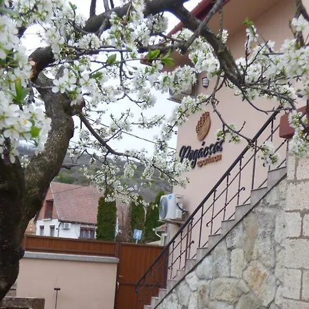 Pogacsas דירה