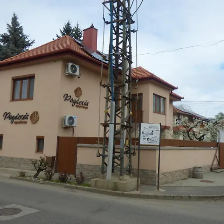 Pogacsas *