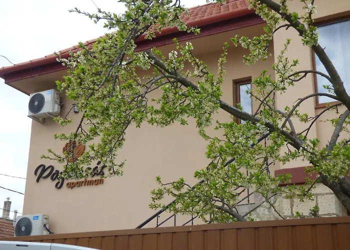 Pogacsas Daire Tokaj