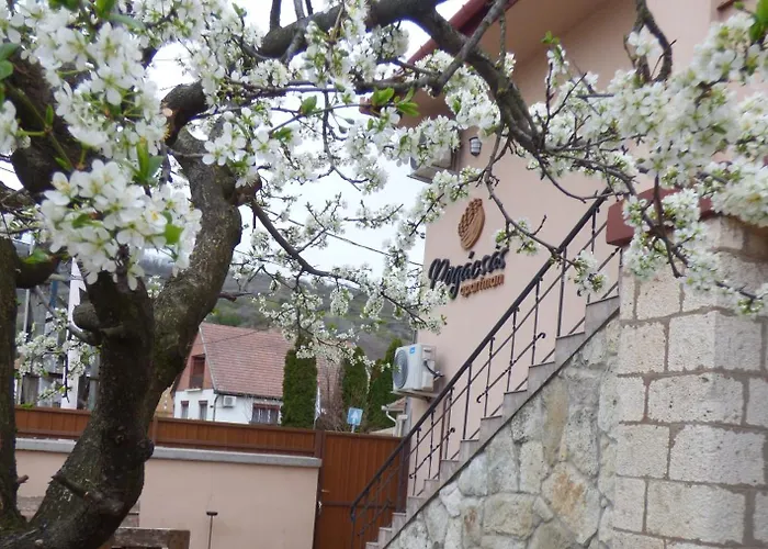Pogacsas Apartment