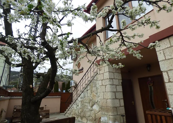 Pogacsas * Tokaj